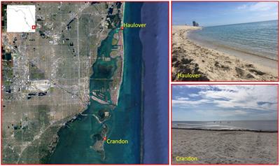 Integrating microbial source tracking with quantitative microbial risk assessment to evaluate site specific risk based thresholds at two South Florida beaches